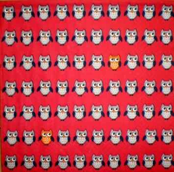 035 Owls - 3-ply (red) - Avantgarde